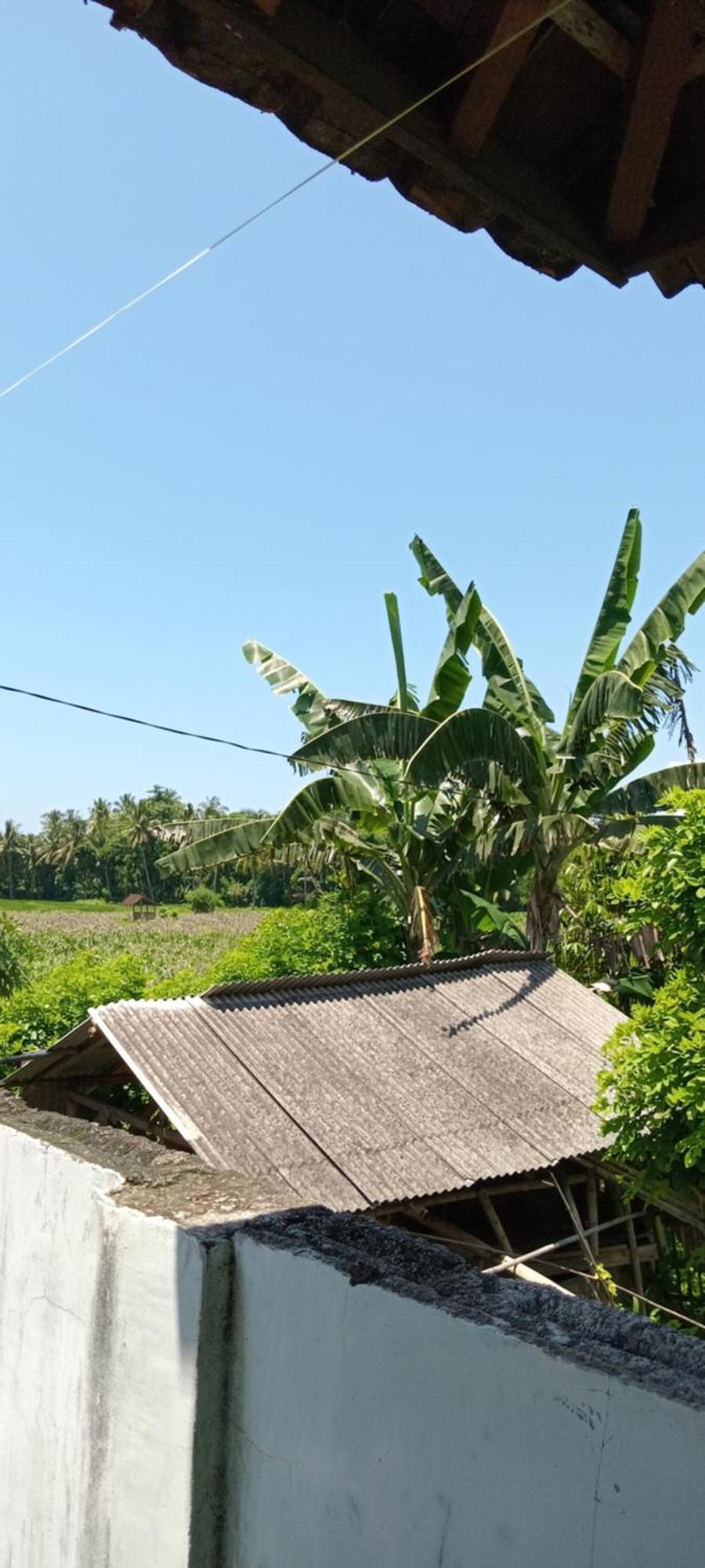 La Belle Vie Homestay Banyuwangi  Exterior foto